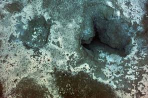 Hydrate de méthane actif sur une dorsale située dans le Pacifique Nord-Ouest © NSF-OOI/UW/CSSF