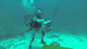 SEATEST - Un astronaute -à proximité d'Aquarius - s'entraine à se déplacer sous l'eau et à déployer un réseau de capteurs. © ESA