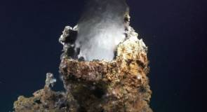 Source hydrothermale sur le site de Pescadero ©Schmidt Ocean Institute